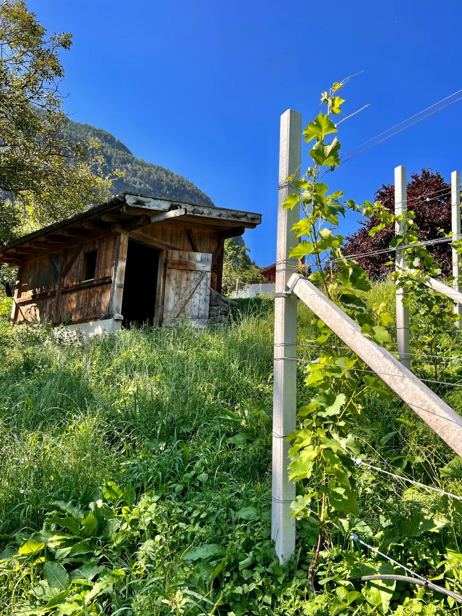 Gasserhof Barbian Exterior foto